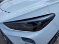 CUPRA Terramar 2.0 TSI 4Drive DSG ABS ESP Weiß - thumbnail 4