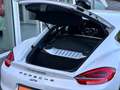 Porsche Cayman 981 GT4 Clubsport*Schale*Xenon*Schalter Blanco - thumbnail 22