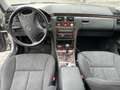 Mercedes-Benz E 270 Elegance CDI Aut. - thumbnail 9