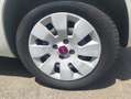 Fiat Panda 1.2 Lounge 69cv E6 Bianco - thumbnail 3