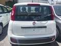Fiat Panda 1.2 Lounge 69cv E6 Bianco - thumbnail 2