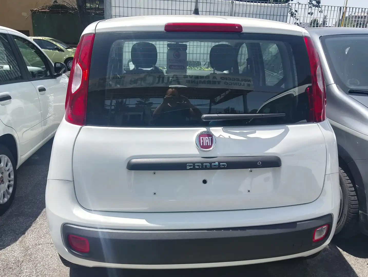Fiat Panda 1.2 Lounge 69cv E6 Bianco - 2