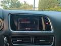 Audi Q5 3.0 TDI 240cv quattro S tronic DPF Schwarz - thumbnail 12