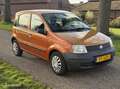 Fiat Panda 1.1 Active|5 deurs|apk Orange - thumbnail 2