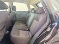 SEAT Ibiza 1.2 60CV Free 5p. Grigio - thumbnail 5