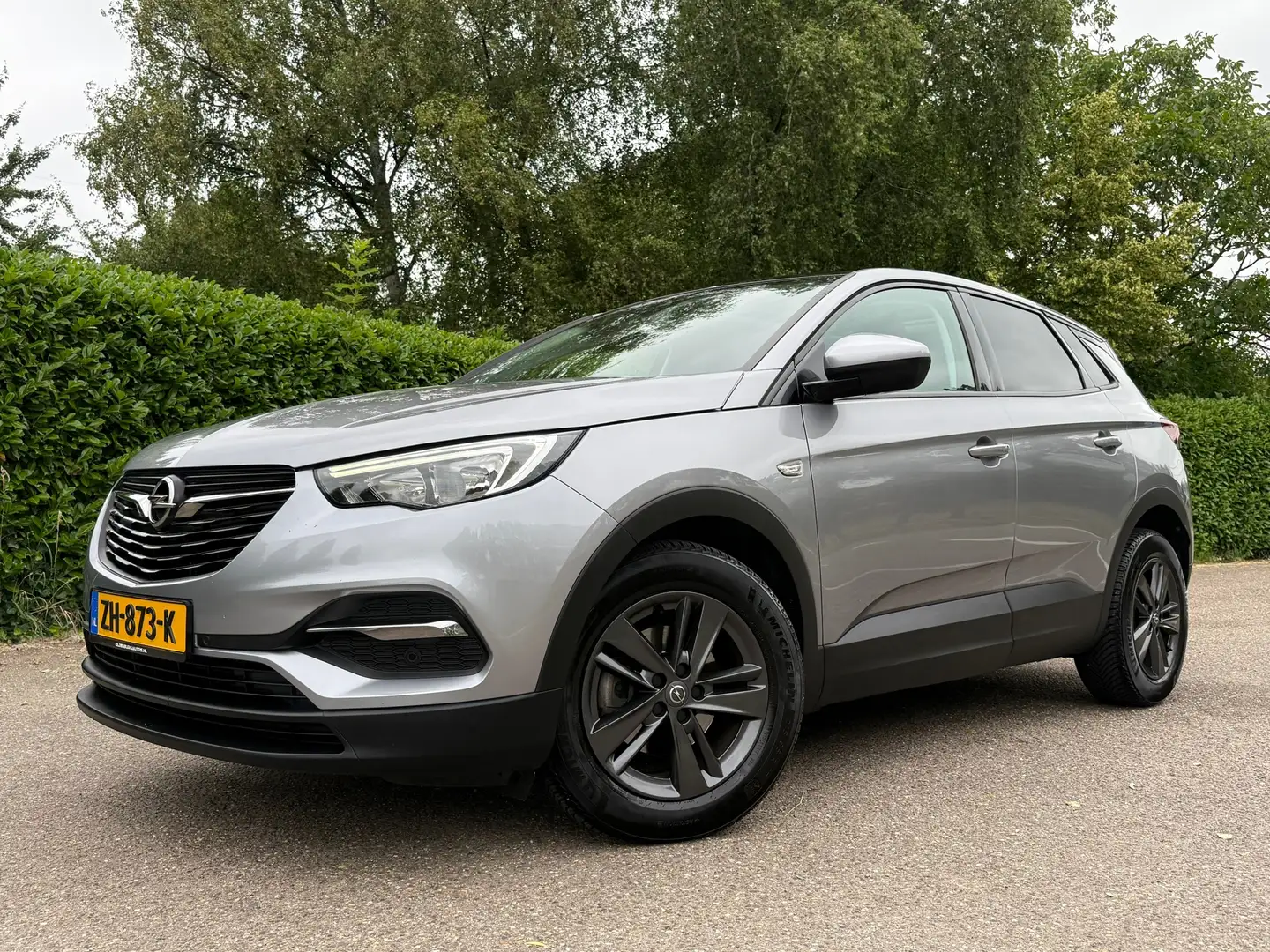 Opel Grandland X 1.2 Turbo 120 Jaar Edition Automaat | Panoramadak Gris - 1