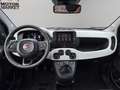 Fiat Panda Pandina Cross 1.0 Firefly Hybrid S&S 70cv Pandina Blau - thumbnail 13