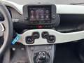 Fiat Panda Pandina Cross 1.0 Firefly Hybrid S&S 70cv Pandina Blau - thumbnail 12