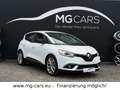 Renault Scenic IV Limited-Edition~Navi~Assistent~8-Fach! Alb - thumbnail 2