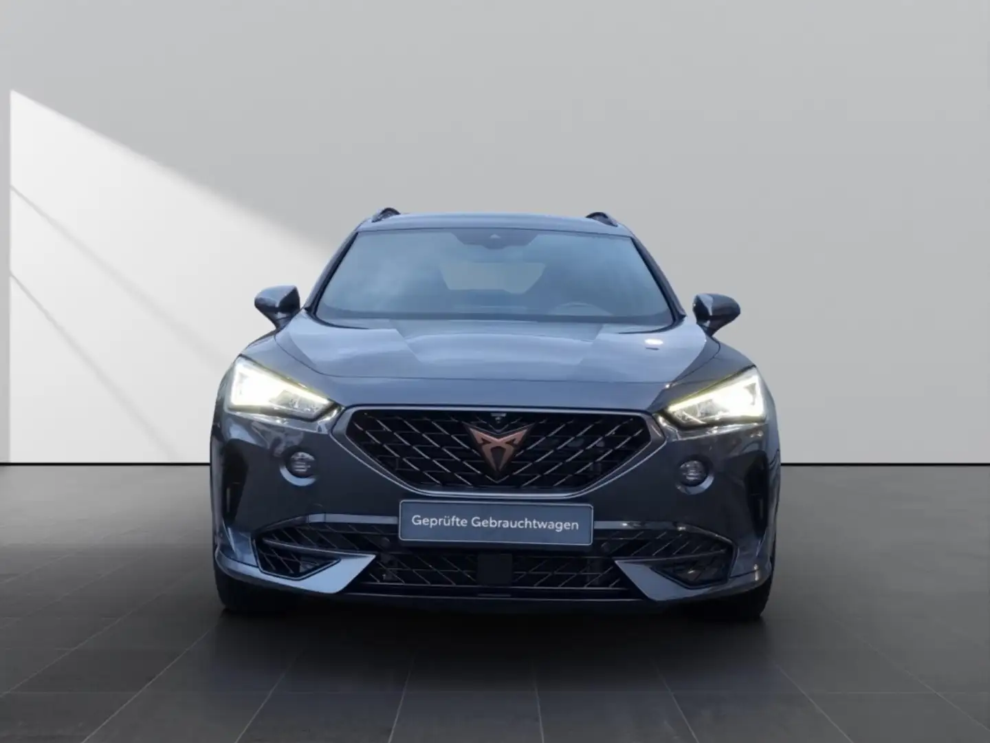 CUPRA Formentor 2.0 VZ 4Drive*Navi*Kamera360°*Memory* Grau - 2