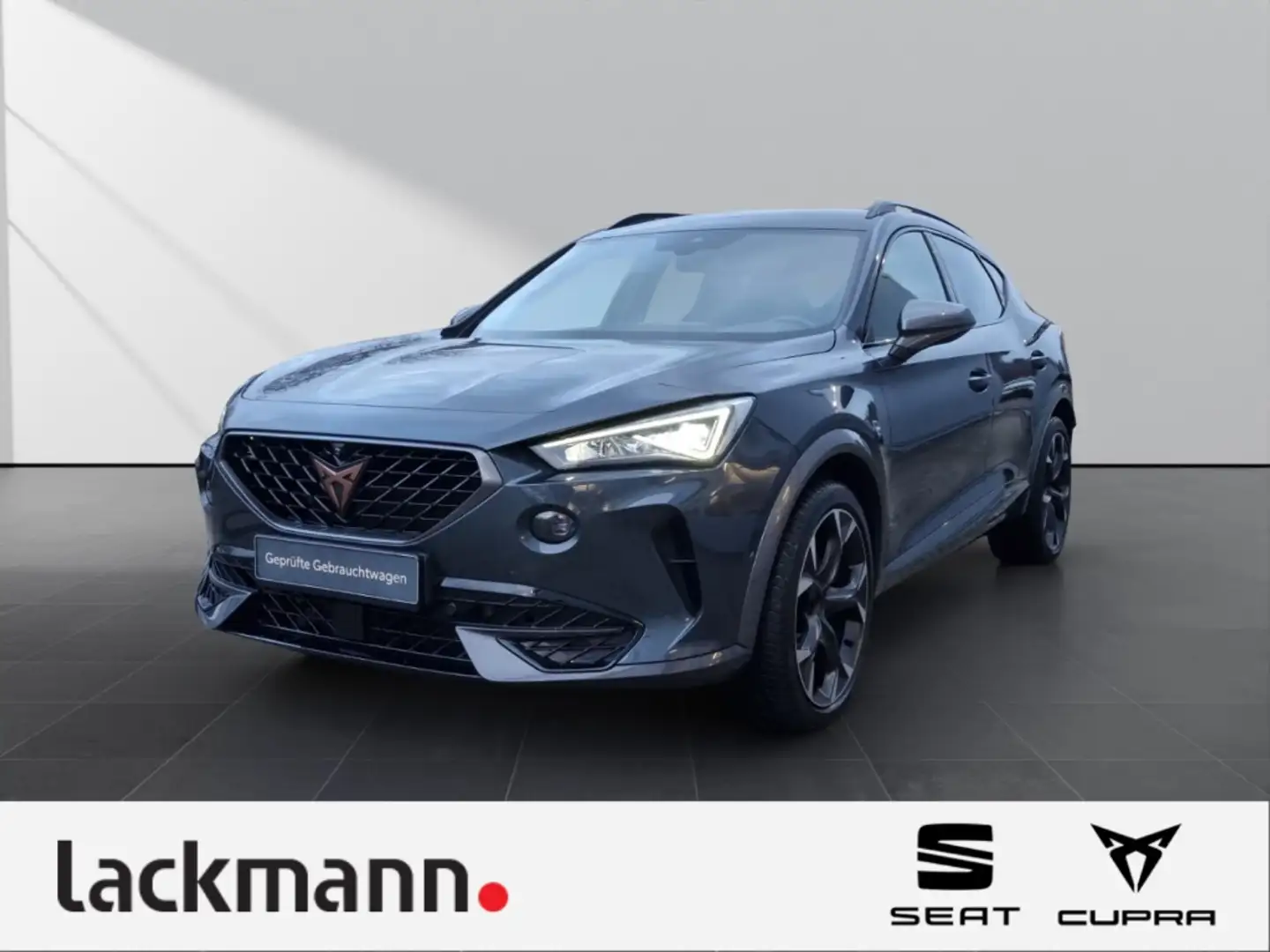 CUPRA Formentor 2.0 VZ 4Drive*Navi*Kamera360°*Memory* Grau - 1