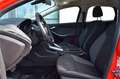Ford Focus Turnier 2.0 TDCi,Automatik,8-Fachbereift, Rouge - thumbnail 9