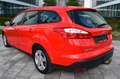 Ford Focus Turnier 2.0 TDCi,Automatik,8-Fachbereift, Rouge - thumbnail 4