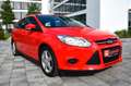Ford Focus Turnier 2.0 TDCi,Automatik,8-Fachbereift, Rouge - thumbnail 3