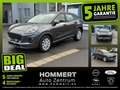 Ford Puma 1.0 EcoBoost Cool & Connect ACC+LED+SHZ+LM Gris - thumbnail 1