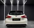 Nissan Pulsar 1.5 dci Visia 110cv E6 - thumbnail 4