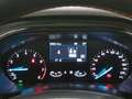 Ford Focus WAGON 1.0 EcoBoost Hybrid 125cv ST-Line - thumbnail 8