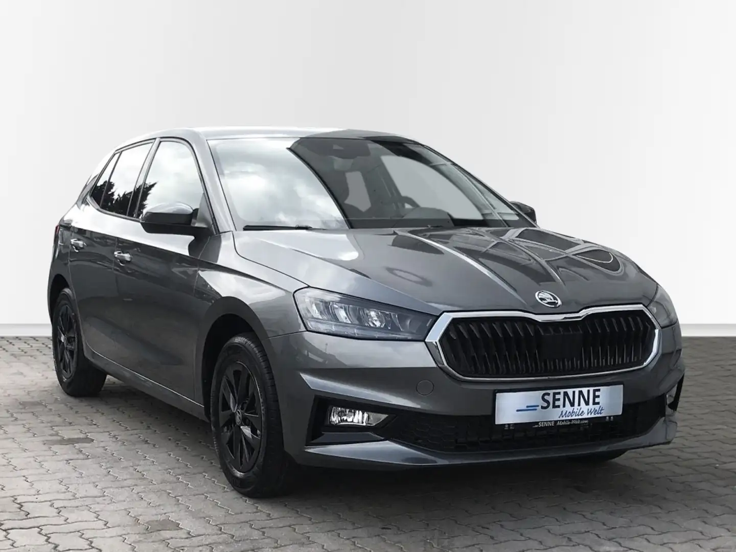 Skoda Fabia 1.0 Selection, Climatronic, Sitzh, PDC, Kamera Gris - 2