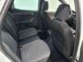 SEAT Arona 1.0 TSI S&S X-Perience Special Edition DSG7 115 Blanco - thumbnail 6