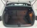 SEAT Arona 1.0 TSI S&S X-Perience Special Edition DSG7 115 Blanco - thumbnail 7