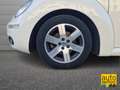 Volkswagen New Beetle New Beetle 1.6 102cv FL Weiß - thumbnail 7