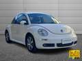 Volkswagen New Beetle New Beetle 1.6 102cv FL Weiß - thumbnail 2