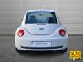 Volkswagen New Beetle New Beetle 1.6 102cv FL Weiß - thumbnail 6