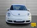 Volkswagen New Beetle New Beetle 1.6 102cv FL Weiß - thumbnail 5