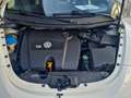 Volkswagen New Beetle New Beetle 1.6 102cv FL Weiß - thumbnail 22