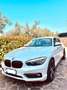 BMW 114 114d  5p perfetta Wit - thumbnail 1