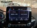 Ford Fiesta ST-Line 1.0 Bluetooth - Sitzheizung - Keyless Go Gris - thumbnail 15