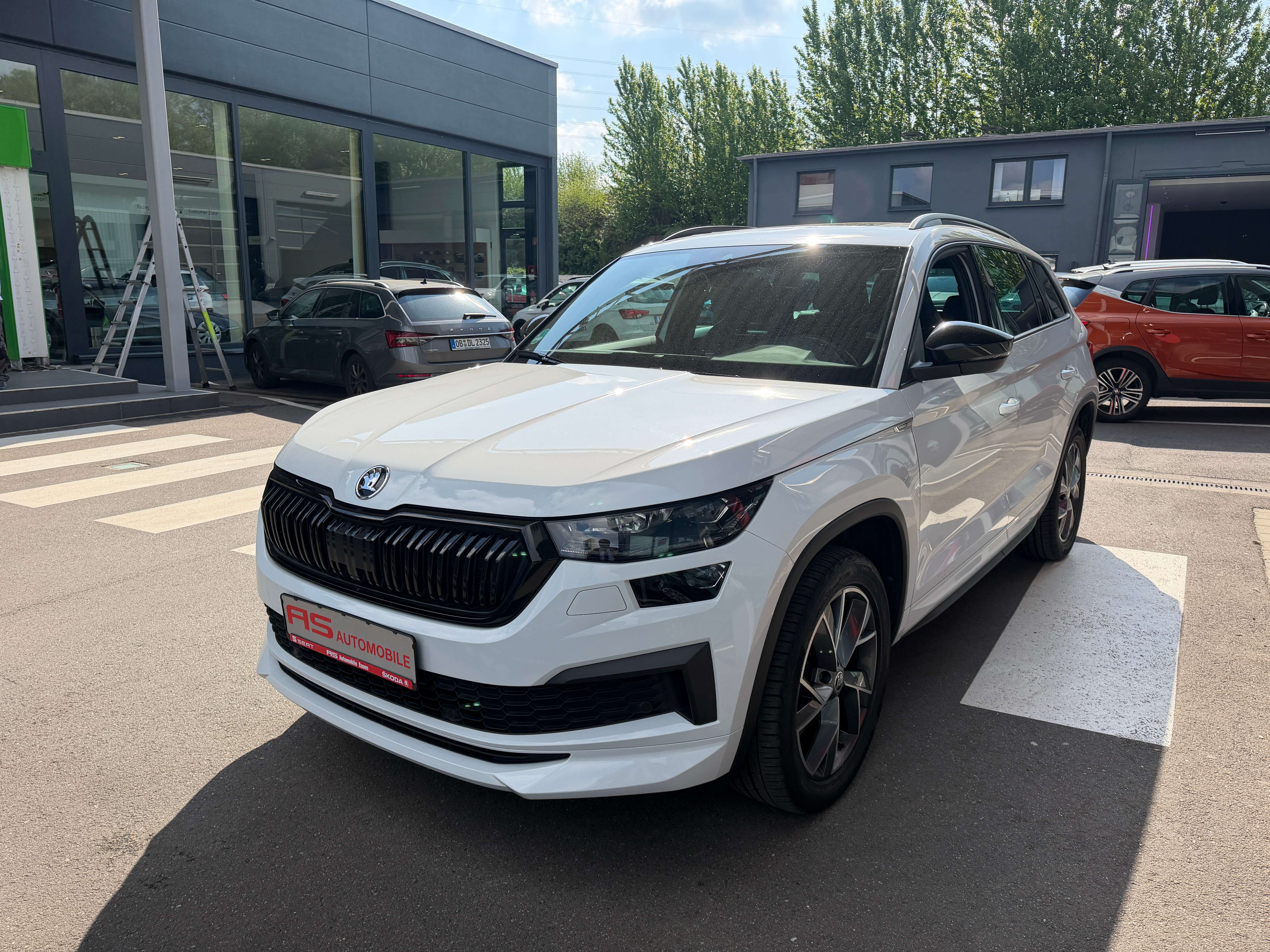 Skoda Kodiaq occasion