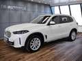 BMW X5 xDrive 50e Sport-Steptronic Blanco - thumbnail 1