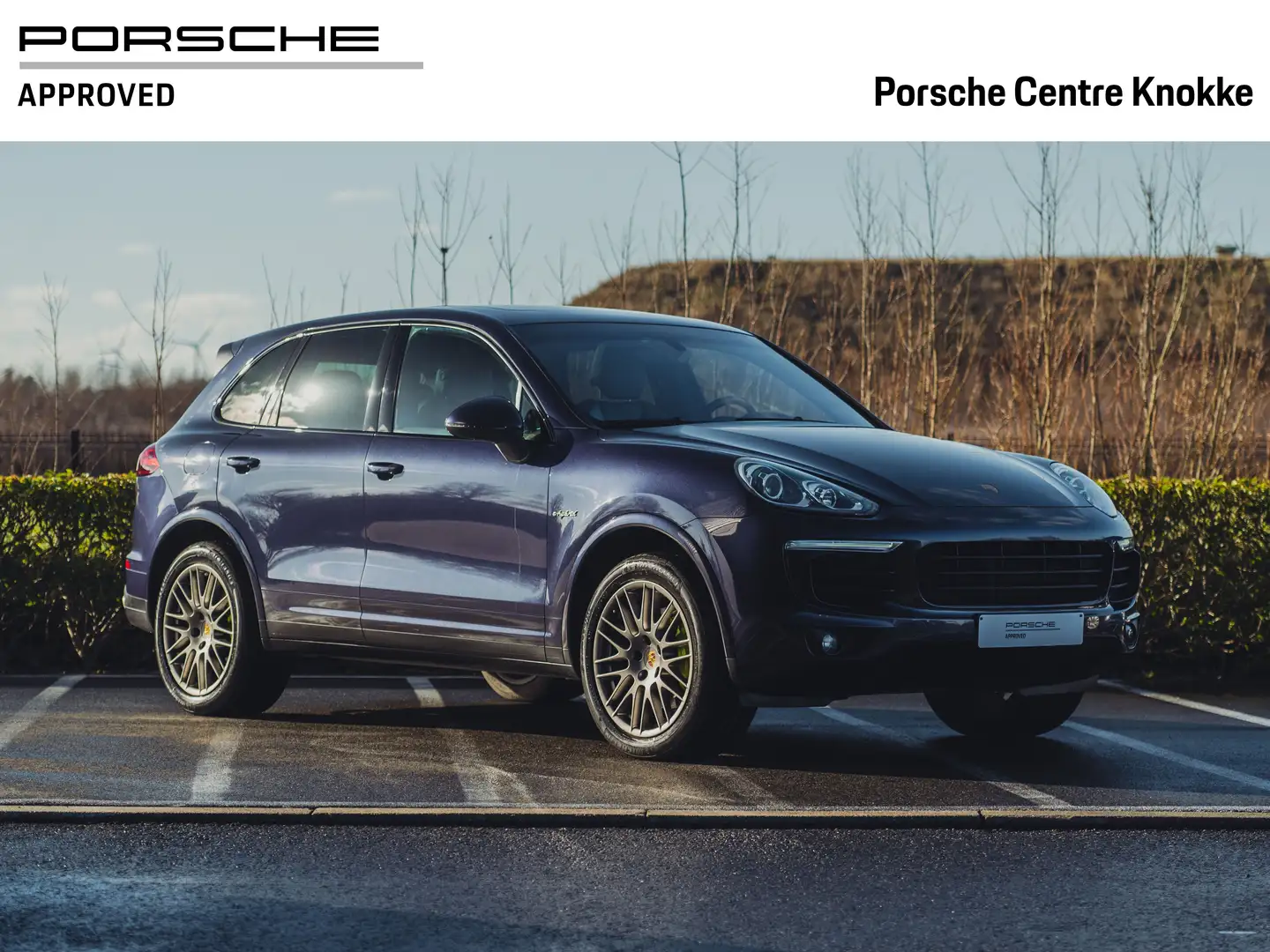 Porsche Cayenne S E-Hybrid Platinum Edition | 14-Way | Pano | Violett - 1