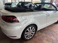 Volkswagen Golf Cabriolet Basis Weiß - thumbnail 5