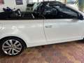 Volkswagen Golf Cabriolet Basis Weiß - thumbnail 6