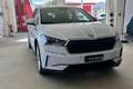 Skoda Enyaq iV 80 Bianco - thumbnail 1