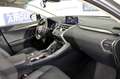 Lexus NX 300h Executive Navigation 4WD 197cv Beżowy - thumbnail 9