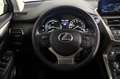 Lexus NX 300h Executive Navigation 4WD 197cv Beige - thumbnail 19