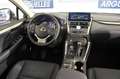 Lexus NX 300h Executive Navigation 4WD 197cv Beige - thumbnail 15