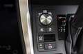 Lexus NX 300h Executive Navigation 4WD 197cv Beige - thumbnail 23