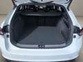 Skoda Superb Superb 1.5 TSI iV Sportline *PANO*ACC*AHK*  Autom. Weiß - thumbnail 17