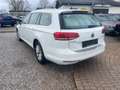 Volkswagen Passat Variant Comfortline BlueMotion im gepflegten Zustand Weiß - thumbnail 7