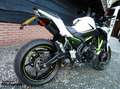 Kawasaki Z 650 ABS Wit - thumbnail 5