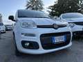 Fiat Panda Panda III 1.3 mjt 16v Easy s Blanc - thumbnail 3