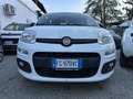 Fiat Panda Panda III 1.3 mjt 16v Easy s Blanc - thumbnail 2