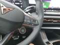 CUPRA Terramar 2.0 TSI VZ 4Drive PANO AHK 360° NAVI Weiß - thumbnail 16