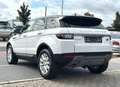 Land Rover Range Rover Evoque SE / 1. Hand / Allrad / AHK Weiß - thumbnail 3