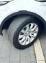 Land Rover Range Rover Evoque SE / 1. Hand / Allrad / AHK Weiß - thumbnail 9