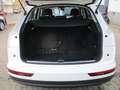 Audi Q5 2.0 TDI quattro advanced *2.Hand/Navi/Xenon* Blanc - thumbnail 17